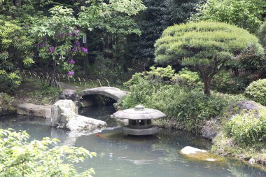 Japon tarzında güzel bir bahçe manzarası 