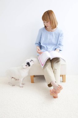 Güzel Asyalı kadını siyah beyaz Fransız buldoguyla kapatın.