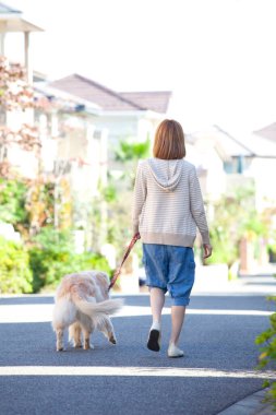 Golden retriever köpeği olan güzel Asyalı bir kadın.