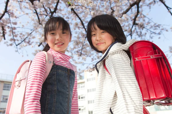 Sonrientes Chicas Japonesas Con Mochilas Parque Primavera — Foto de Stock