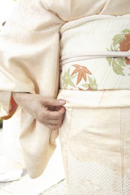Geleneksel Japon kimonosu giyen kadın hakkında detaylı bir görüş. 