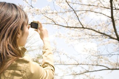 Parkta kamera kullanan genç bir kadın çiçek açan ağaçları vuruyor.