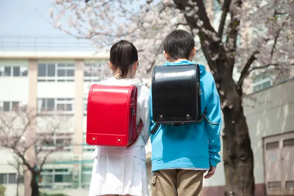 Terug Uitzicht Jonge Japanse Basisschool Studenten Zoek Cherry Bloesems Schoolplein — Stockfoto