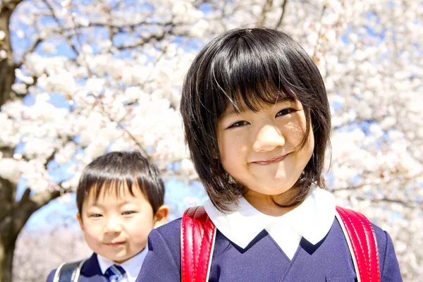 Asyalı Erkek Kız Kardeşlerin Okul Üniformalı Portresi Parkta Çiçek Açan — Stok fotoğraf