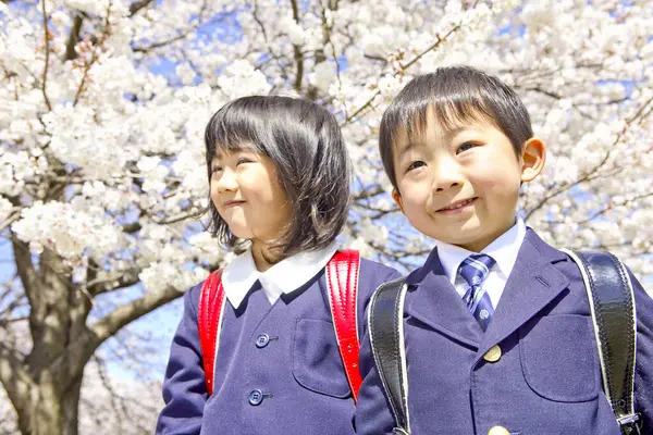 Primer Plano Retrato Asiático Hermano Hermana Pupilas Escuela Uniformes Posando —  Fotos de Stock