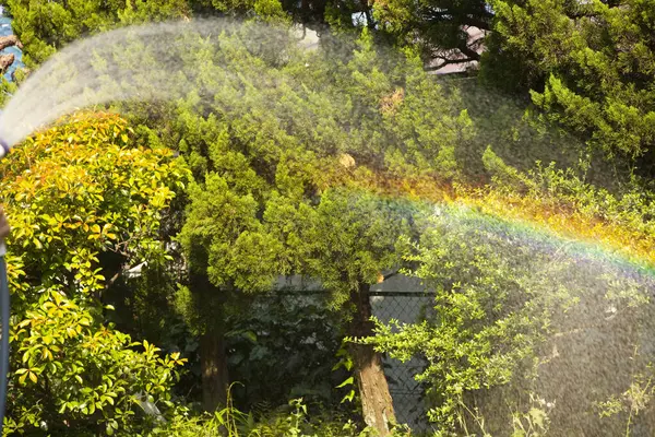 beautiful rainbow in the garden