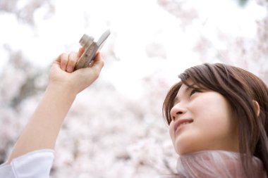 Kiraz bahçesinde fotoğraf çeken kadın. 