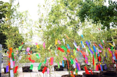 Ağaç dallarındaki bahçede dilekleri olan kağıt kurdeleler. 