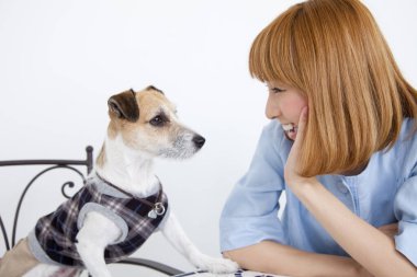 Güzel Asyalı kadın ve Jack Russel Terrier köpeği