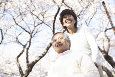 Parktaki Asyalı yaşlı çift çiçek açan ağaçlara karşı 