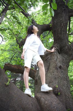 Asyalı kadın ağaca yaslanıyor.