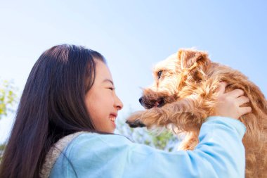 Norfolk Terrier köpeğiyle küçük sevimli Asyalı kız.