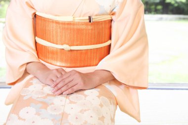 Geleneksel Japon kimonosu giyen kadın hakkında detaylı bir görüş. 