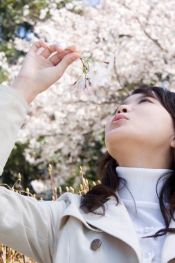 Parkta kiraz çiçekli Japon kadın.