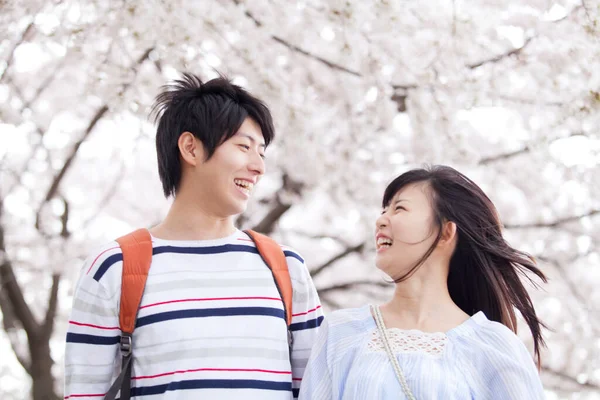 Молода Японська Пара Гуляє Парку Вишневим Цвітом Навесні — стокове фото