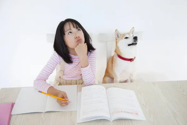 beautiful asian girl with shiba inu dog