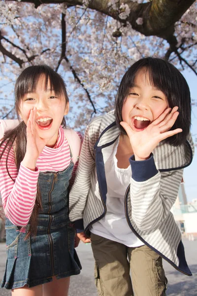 Filles Japonaises Souriantes Avec Des Sacs Dos Dans Parc Printemps — Photo