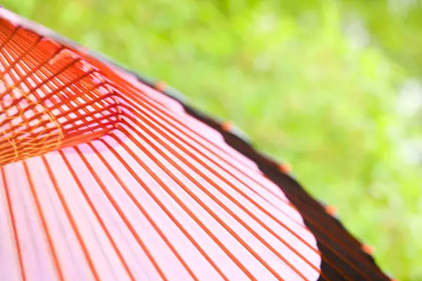 Traditional Colorful Japanese Umbrella Close View — Stock Photo, Image
