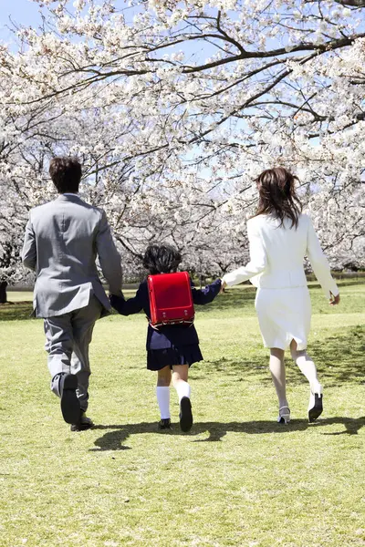 japanese family in spring garden with cherry blossoms