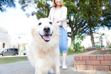 Golden retriever köpeği olan güzel Asyalı bir kadın.