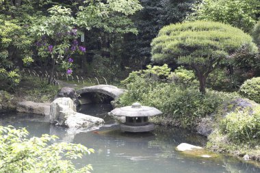 Japon tarzında güzel bir bahçe manzarası 