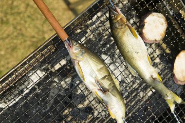 Izgaradaki taze balık manzarası
