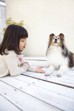 Mutlu küçük Asyalı kız ve çoban köpeği 