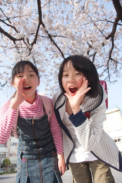Usmívající Japonské Dívky Batohy Jarním Parku — Stock fotografie