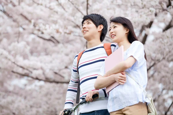 Young Japanese Couple Bicycle Park Cherry Blossom Spring — Stock Photo, Image