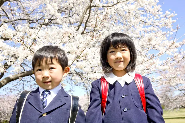Primer Plano Retrato Asiático Hermano Hermana Pupilas Escuela Uniformes Posando — Foto de Stock
