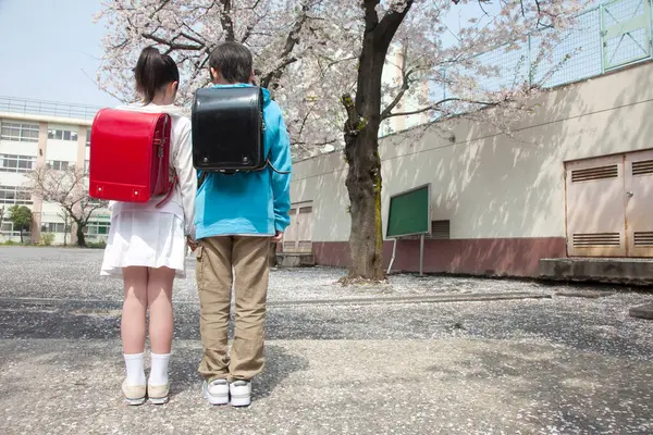 Terug Uitzicht Jonge Japanse Basisschool Studenten Zoek Cherry Bloesems Schoolplein — Stockfoto