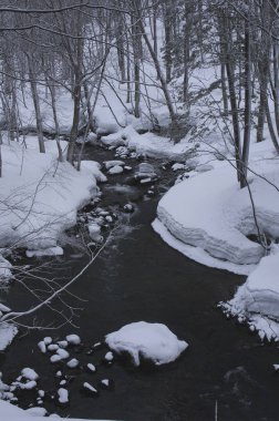 Karla kaplı ağaçlar ve nehirlerle kaplı kış manzarası          