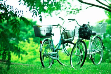 Yeşil yaz parkında iki bisiklet.