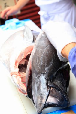 Kadınlar markette taze ton balığı kesiyor.