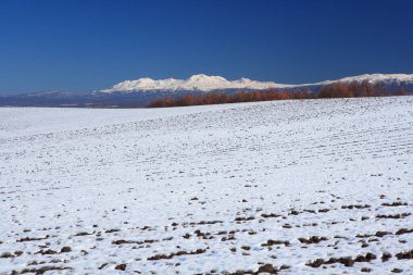 Kışın karla kaplı tarla
