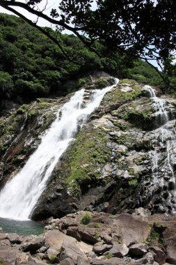 Rocky Hill 'deki güzel şelale manzarasını kapat.
