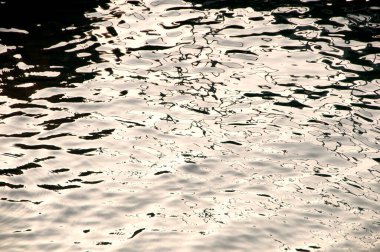 Su ve doğa ile soyut arkaplan