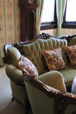 Oturma odasının içinde yeşil kanepe var.