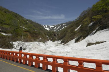 Kış mevsiminde karla kaplı ağaçlarla kaplı yollar