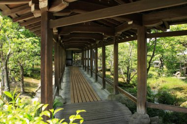 Yeşil Park ahşap köprü görünümü