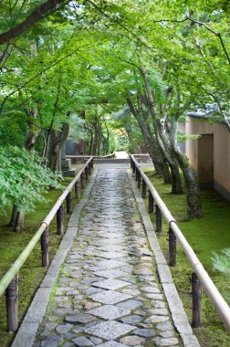 Yazın Japon parkında taş patika.