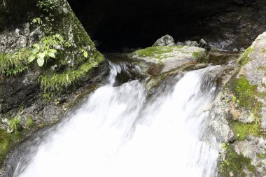 Ormanda güzel bir şelale 