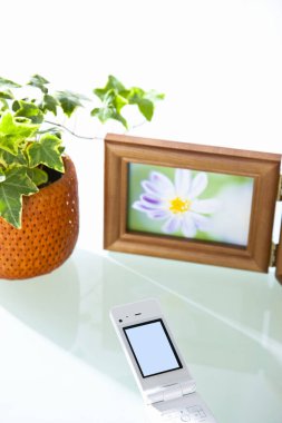 çiçek, telefon ve fotoğraf çerçeveli modern iç mimari 