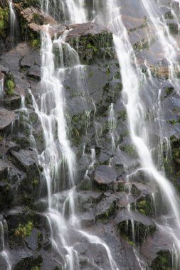 Ormanda güzel bir şelale