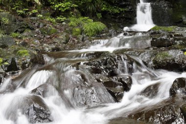 Dağlık ormanda şelale 