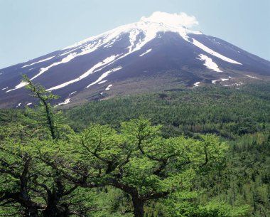 mount fuji in japan nature scenic view