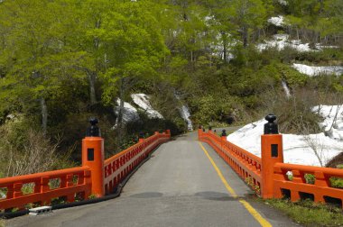 Yeşil ağaçlarla çevrili kırmızı köprü yolu.