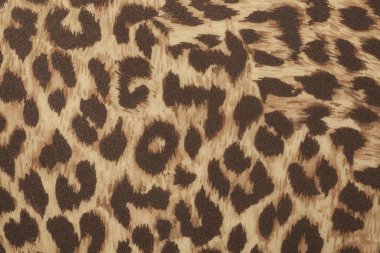 Leopar deseninin kumaş dokusu 
