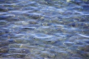 Küçük taşlarla şeffaf berrak su