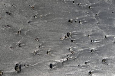 Islak kum ve deniz dalgalarını kapatın.     